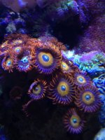 photo (27).JPG