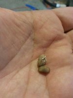 20131023_171038_resized.jpg