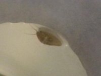 20131205_205411[1].jpg