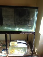 IMG_0129.jpg