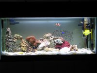 resized_IMG_0003_1.jpg