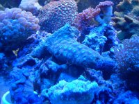 DSCN3015.jpg