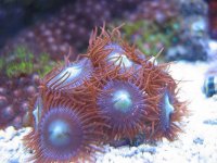 MR frag swap zoas.jpg