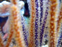 IMG_2053.JPG