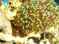 Fooling around nano 2 006.jpg