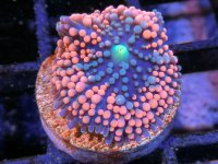 7.11.13-1-8.jpg