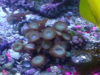 IMG_20130508_132956.jpg