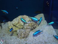 IMG_6637.jpg