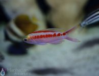 IMG_6660.jpg
