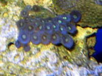 IMG_6282-2.jpg