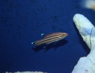 IMG_3920.jpg