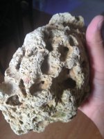 ImageUploadedByReefs1376604422.074598.jpg
