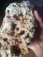 ImageUploadedByReefs1376604430.958518.jpg