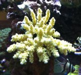 IMG_7316.jpg