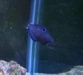 20131112_140418-1.jpg