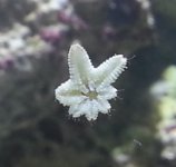 20130825_141038.jpg