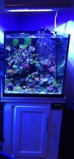 IMG_231sds.jpg