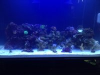 IMG_6701.jpg IMG_6701.jpg
