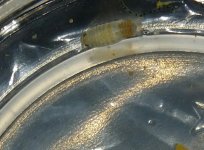 20131228_121556-1.jpg