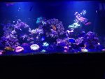 ImageUploadedByTapatalk1395078899.706635.jpg