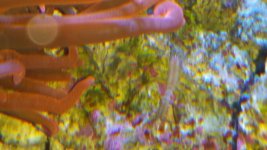 2014-03-14 15.59.18.jpg