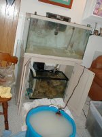 tank setup.JPG