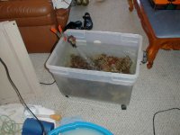 big bucket.JPG