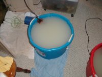 blue bucket.JPG