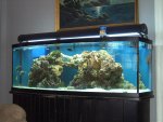 PICs of 155 Bow 009.jpg