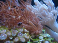 IMG_1045.JPG