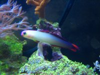 IMG_1056.JPG