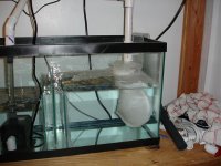 Sump2 002.jpg