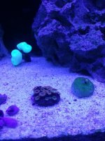 20130901_225927.jpg