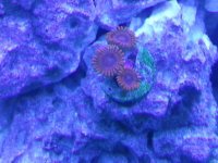 20130820_234301.jpg