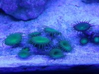 20130820_234317.jpg