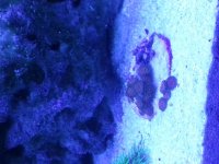 20130901_225817.jpg