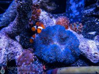 IMG_6407.jpg