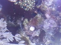 20130902_172519.jpg