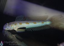 IMG_7856.jpg