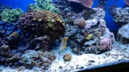 WP_20131118_003.jpg