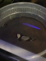 IMG_4801.jpg