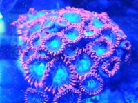 20140414_222437.jpg