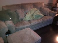 couch for sale.jpg