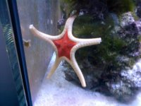 IMG-20131119-00153.jpg