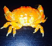 crab in my tank.jpg