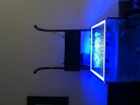 photo-5.jpg