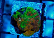 IMG_0566.jpg