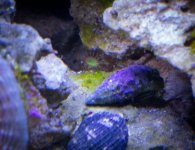 IMG_0049.jpg