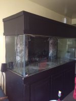 photo 2 (1).JPG