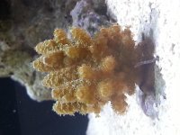 20131012_191442.jpg